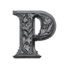 Translation missing: en.Prime Coin Gallery accessibility.home